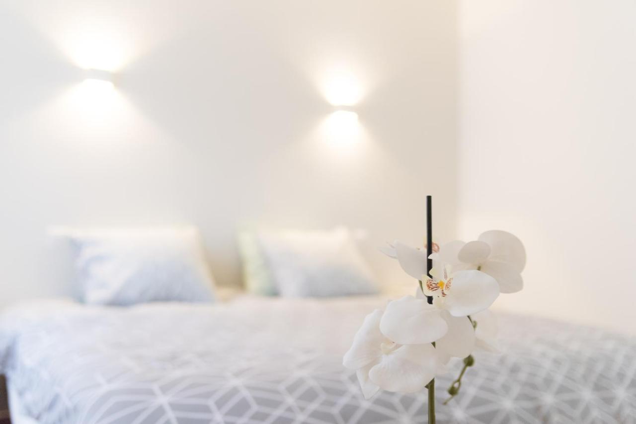 Ravissant Triplex Et Duplex Au Centre De Pont St Esprit Lejlighed Eksteriør billede